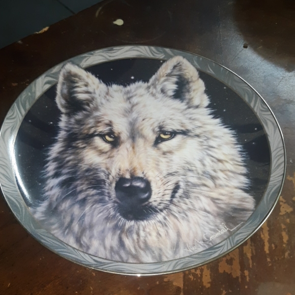 Bradex Artic Nights collectable plate